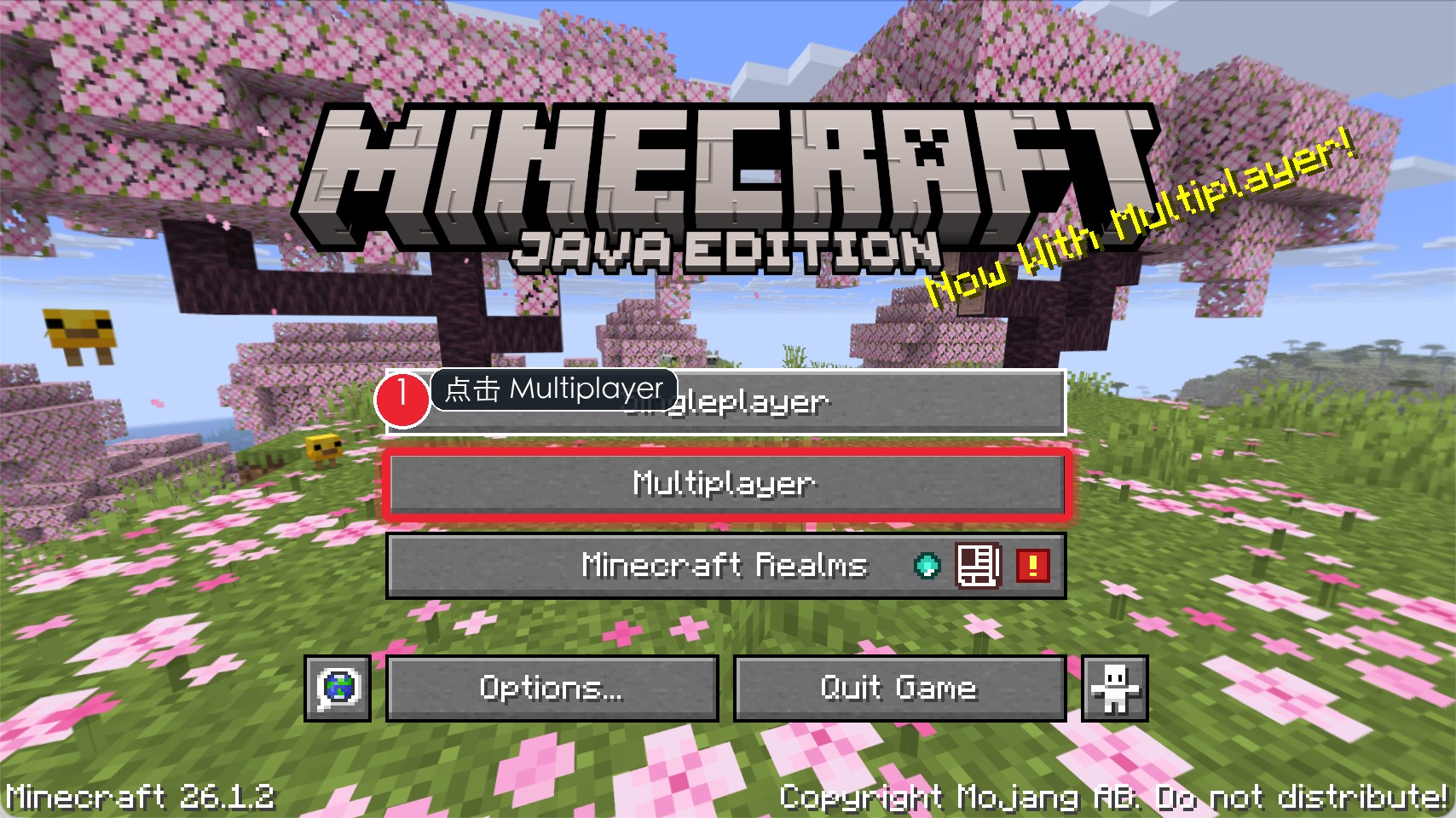 Minecraft Java 主菜单点击 Multiplayer