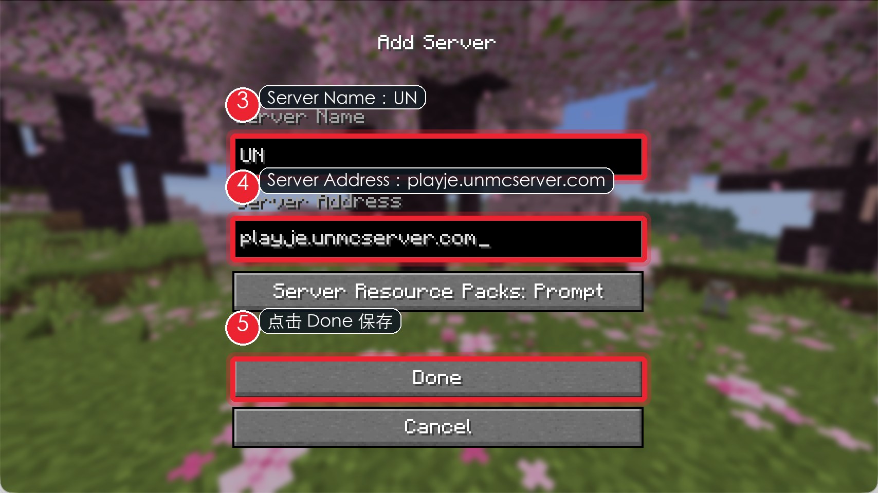 Minecraft Java 添加服务器填写名称和地址